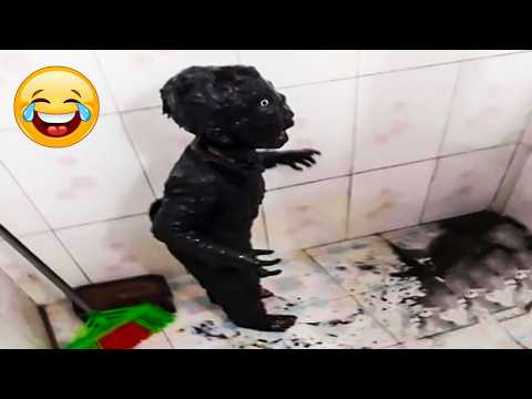 حاول ألا تضحك 2026   أفضل الميمات ومقاطع الفيديو المضحكة الجزء 55 thumbnail