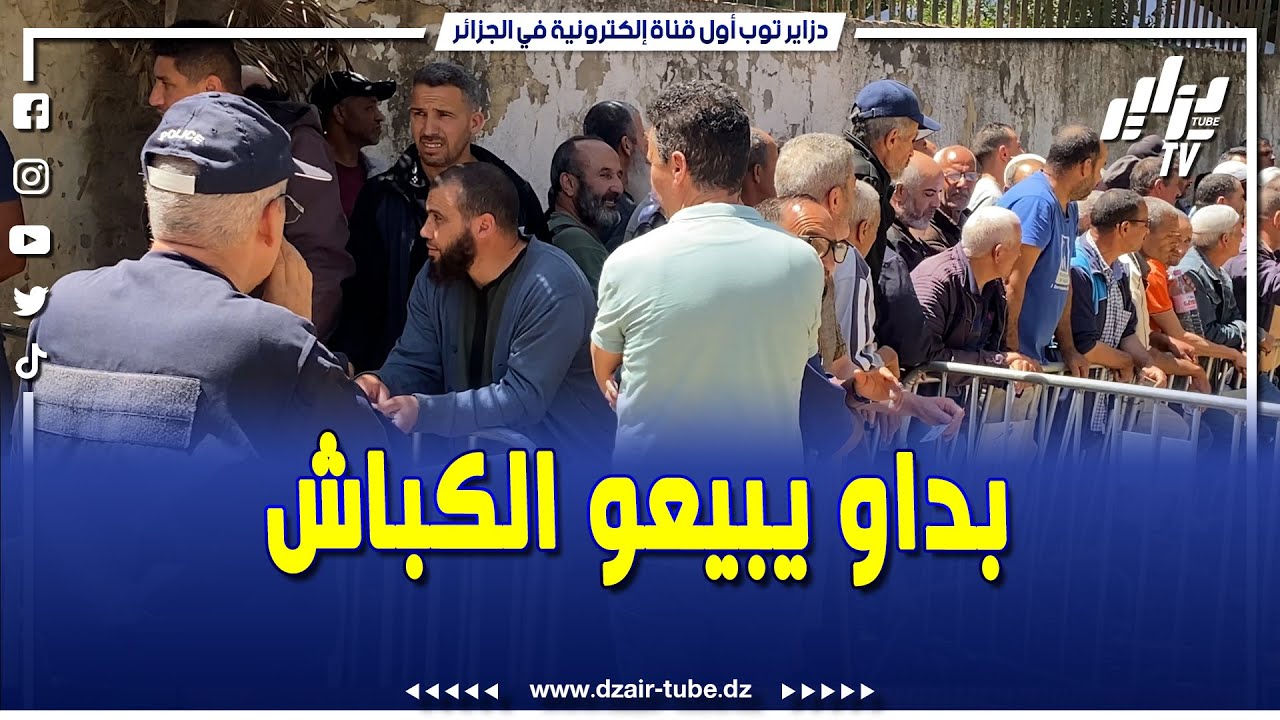 #شاهد..بهذه الطريقة تباع كباش رومانية في ولاية البليدة بلدية الشبلي