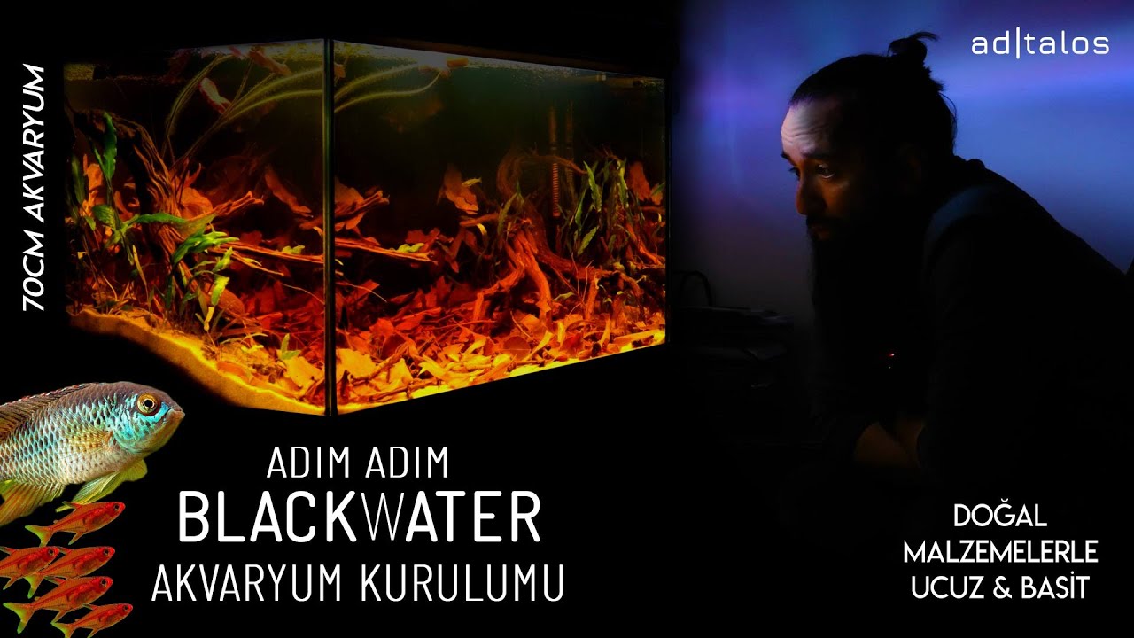 OFİSE BLACKWATER AKVARYUM KURULUMU! EFSANE OLDU! Doğal Malzemelerde Basit ve Ucuz Doğal Akvaryum!
