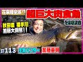 【超巨大肉食魚】異常事態！在来種が消えた！？ヨーロッパ原産ブラウントラウト捕獲作戦！≫生物ハンター加藤英明・Japan wild hunter