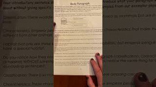 Classification paragraph