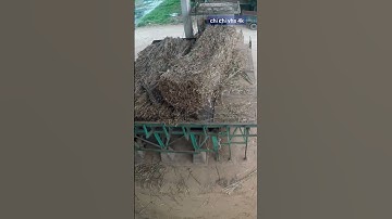 vận hành cẩu trong môi trường Công nghiệp