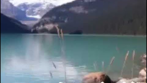 بسم الله الرحمن الرحيم سورة الرحمن تلاوة  الشيخ عوض عمر