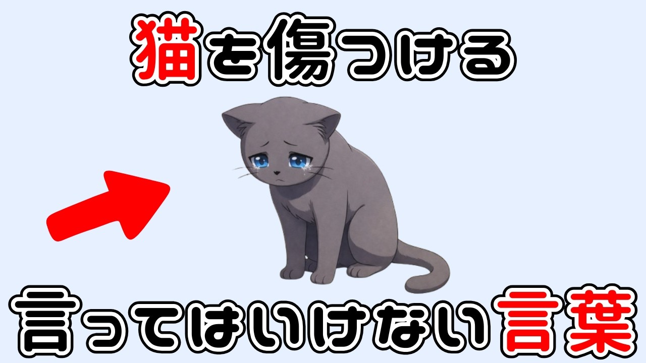 【猫雑学】猫を傷つける言葉7選