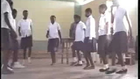 Zimbabwe Marimbas & Dancers 1987