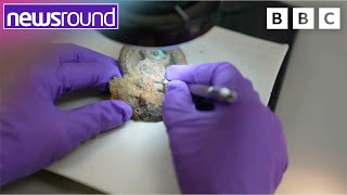 Amazing Hidden buried treasure! | Newsround