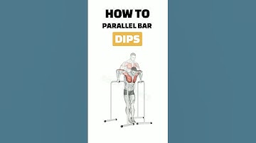 How To Parallel Bar Dips #short #shorts #shortvideo