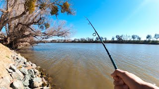 First Time Bank Fishing the Sacramento River for Steelhead Trout! (Season 1 Episode 12)