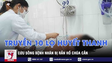 Truyền 10 lọ huyết thanh, cứu sống bệnh nhân bị rắn hổ chúa cắn - VNEWS