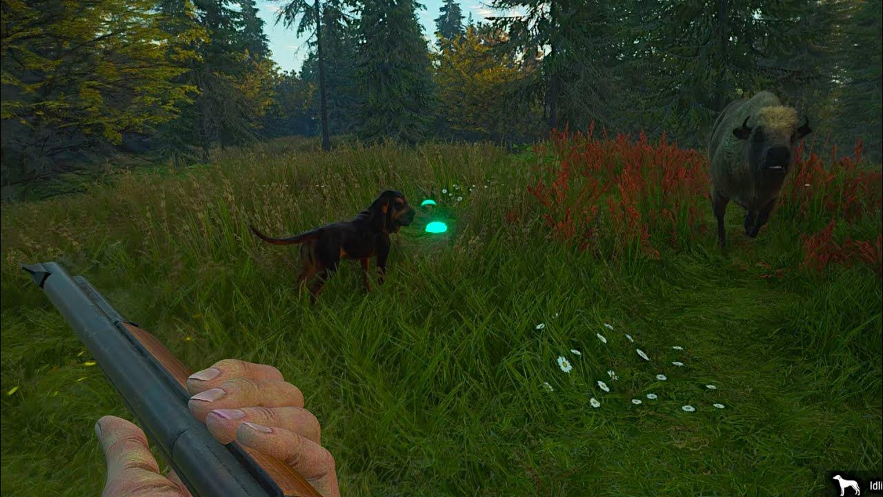 Hirschfelden Missions "Jager 7" and "Jager The Deer And The Sea