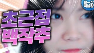 다가가도 놀라지 마세요 【월간백설양】