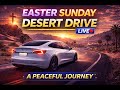 Easter Sunday Desert Drive