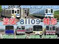 【塗装補修開始!東武8000系 81109F 踏切で車と衝突 4か月運用離脱 修理開始1か月 出場試運転映像も】森林公園 90000系 91002F、9000系 9106F並び、クオッカトレインの様子