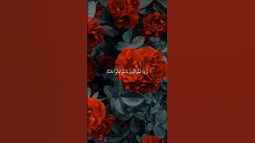 سعد الغامدي سورة البقرة | #سعد_الغامدي  #اكسبلور #قرآن