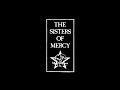 The sisters of mercy  possession