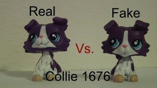 Real Vs Fake | Collie 1676 (remade)