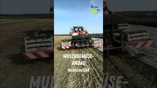 #mulchgemüseanbau #mulchen #mulcher #gemüseanbau #unkrautbekämpfung
