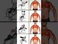 chest workout 💪 try kare aap #shorts #reels #motivation #fitnessmotivation #youtube please subscribe