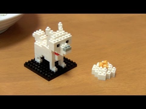 Make A Nano Block Hokkaido Dog ナノブロック北海道犬 Youtube