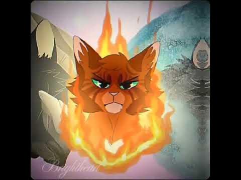 Коты Воители Огнезвезд и Крутобок, Горелый💞#warriorcats #котывоители ...