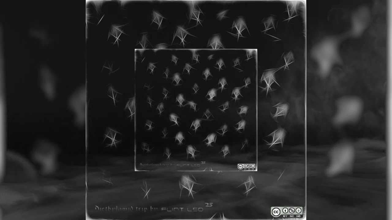 Diethylamid Trip by Flint LSD25 (Promo Mix)