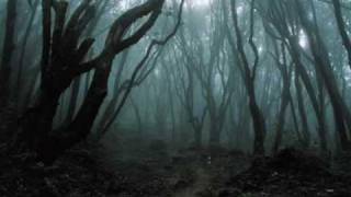Koca Metallec - Voices Of The Swamp (Serbian Film Score Music)