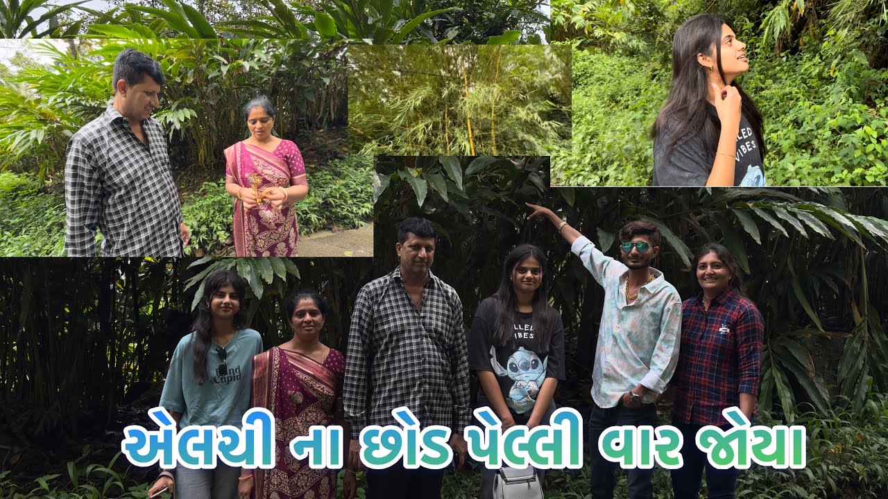પેલ્લી વાર એલચી ના વૃક્ષ જોયા ✅