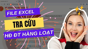 Tra Cứu Hàng Loạt Hóa Đơn Điện Tử Bằng Excel | Kế Toán Không Thể Bỏ Qua!