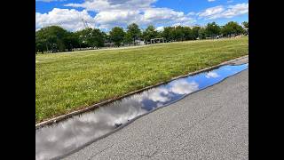 NYC LIVE for a stroll in The South Bronx Profile
