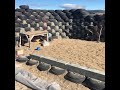 Day 18 Earthship Encounter