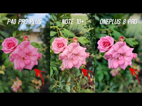 Huawei P40 Pro Plus vs OnePlus 8 Pro vs Galaxy Note 10 Plus Camera Test (After Updates)