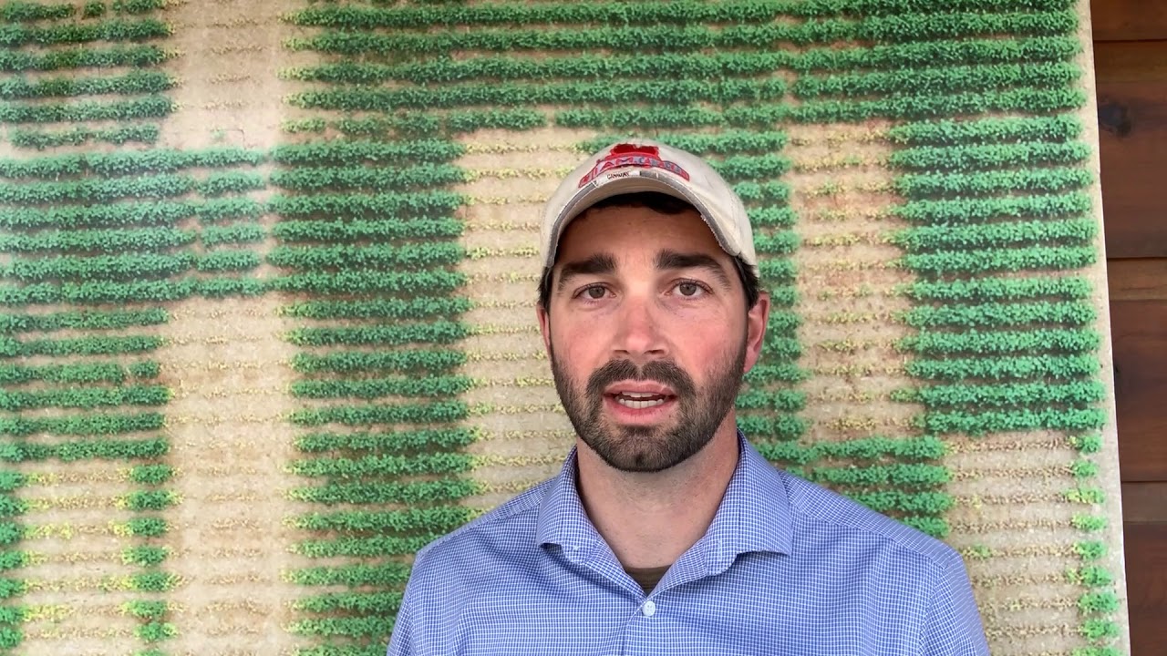 The importance of knowing your soybean herbicide system | Corteva Agriscience Canada