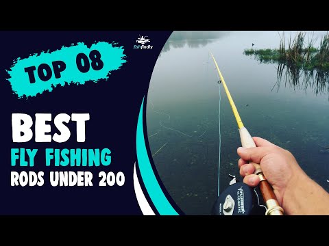 Best Fly Fishing Rods Under 200 in 2022 – Cheap but Qualityfull