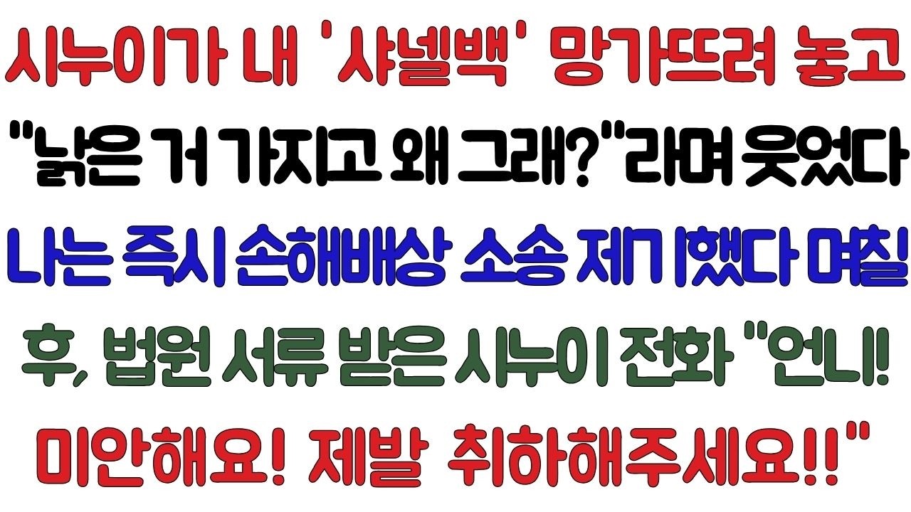 시누이가 내 '샤넬백' 허락도 없이 들고 나가 와인 얼룩에 체인까지 망가뜨려 놓고 