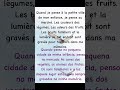 Um texto curto e fácil em francês.