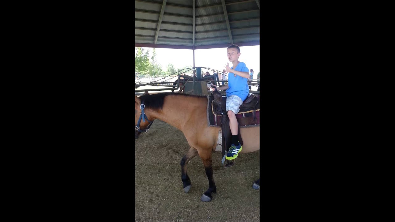 Hunting pony автокресло Hunting pony автокресло