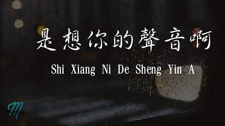 Ao Qi Ye   Shi Xiang Ni De Sheng Yin A  Lyrics  Pi...