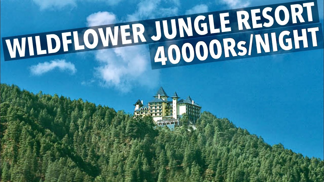 Inside Shimla’s Most Iconic Jungle Resort WildFlower YouTube