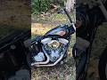 Harley EVO #vtwin #harley #evo #chopper #classic #custom #harleydavidson