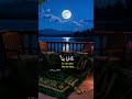 Tilawat Quran Pak Video No 762 #quran#viralvideo#islamic#new#trending#quranrecetionvideo#tilawatqura