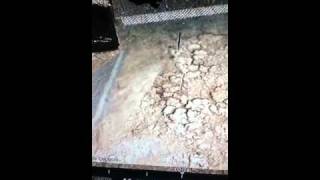 Awsome  tomahawk in radiation
