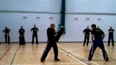 Scott Adkins Side Kick PKA Seminar