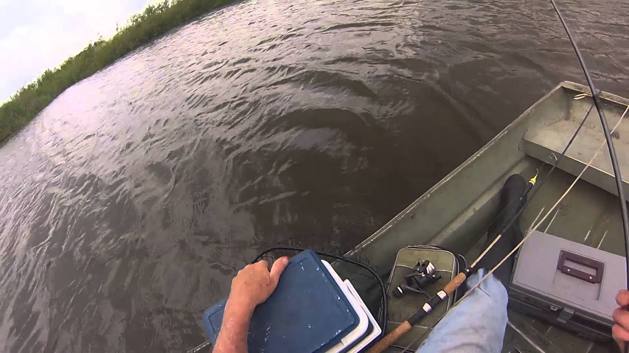 Best ever Bass fishing live bait crawlers GoPro video by WillCFish Tips and Tricks. YouTube