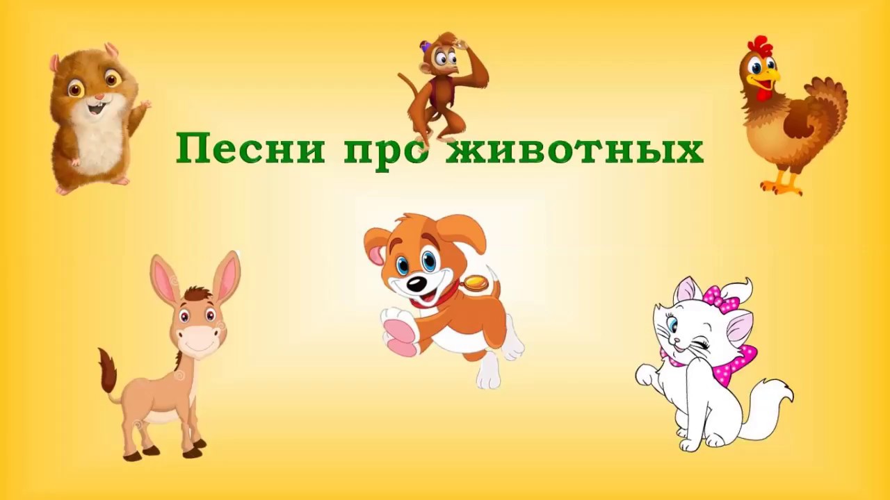 кот на пианино. кот на пианино. милые котики. музыка про животных. композиция про питомца.