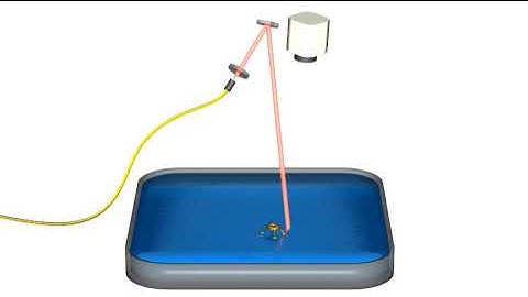 ThermoBot - Démonstration du déplacement du micro robot sur la surface de l’eau