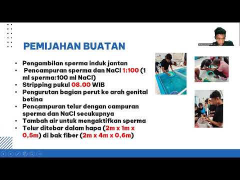 Teknik Pembenihan Ikan Lele Sangkuriang