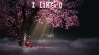 I LIKE U 💗 OFFICAL lyrics by - zhao da yuri 