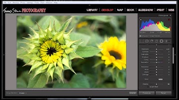 How To Create A Selective Vignette In Lightroom And Photoshop