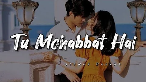 Tu Mohabbat Hai Tu Ishq Hai slowed Reverb Lo-fi song lyrics ❤️🎧#sad_viral_video