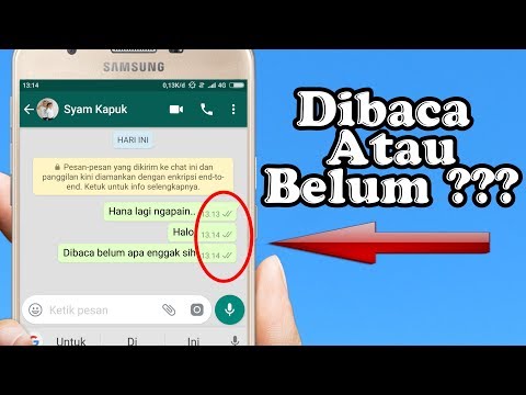 Video: Pasaran biasa sebagai peringkat integrasi, ciri-cirinya, contoh